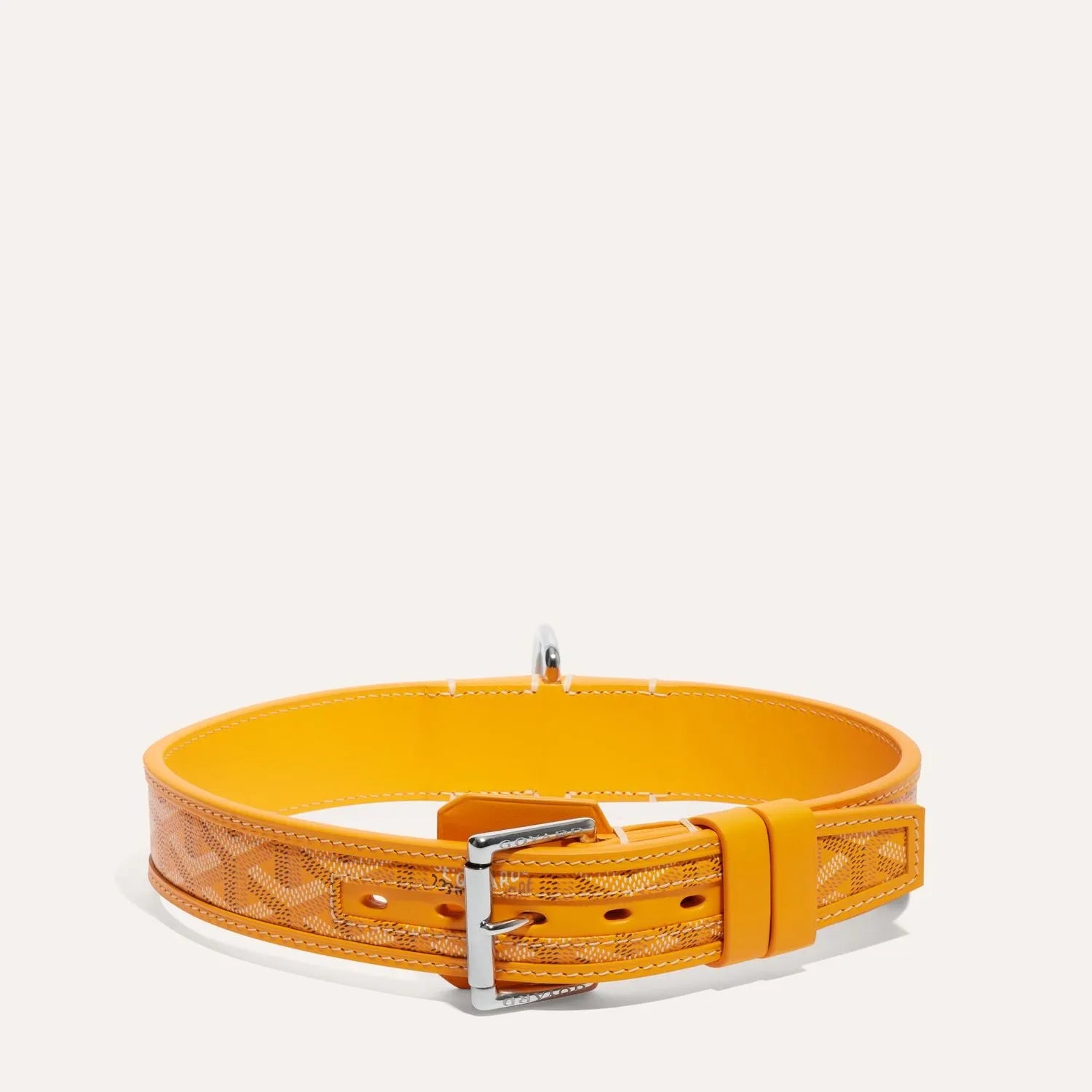 Franklin Collar With Box